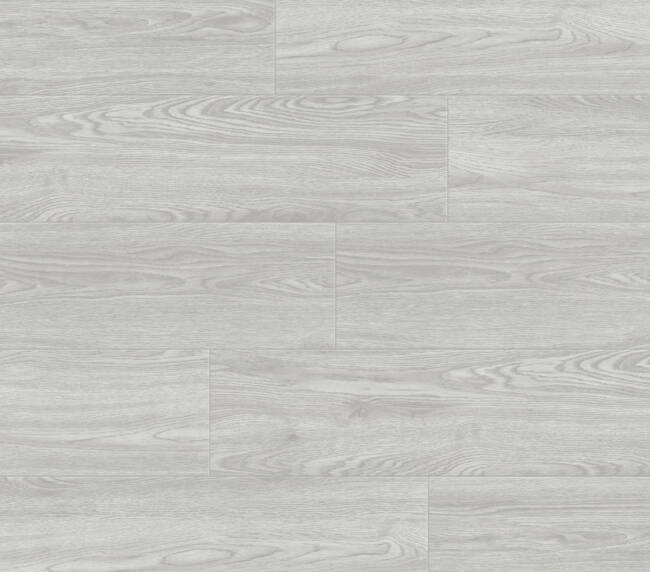 003T0443 Beauty Snow