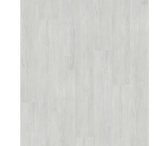 004T1862 Clouded Oak