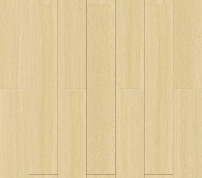 008T0061 Mystic Maple