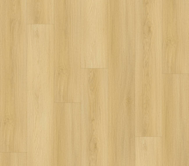 WD3100 Modern Oak